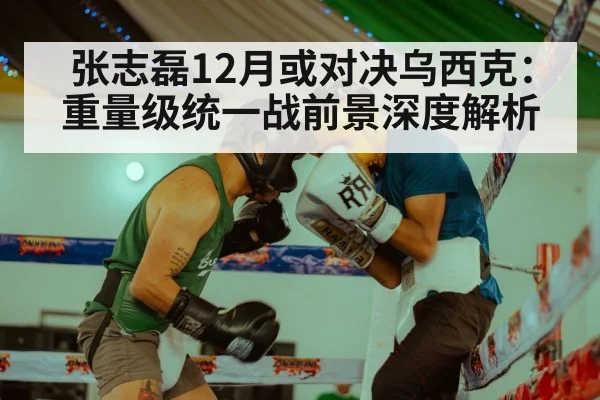 张志磊12月或对决乌西克:重量级统一战前景深度解析