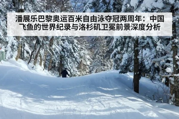 潘展乐巴黎奥运百米自由泳夺冠两周年:中国飞鱼的世界纪录与洛杉矶卫冕前景深度分析